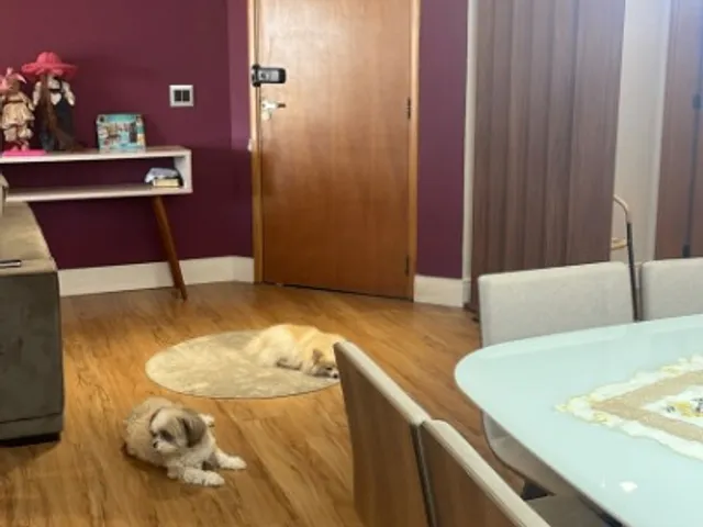 Apartamento 3 quartos e 4 banheiros, à venda, no bairro Vila Assunção em Santo André