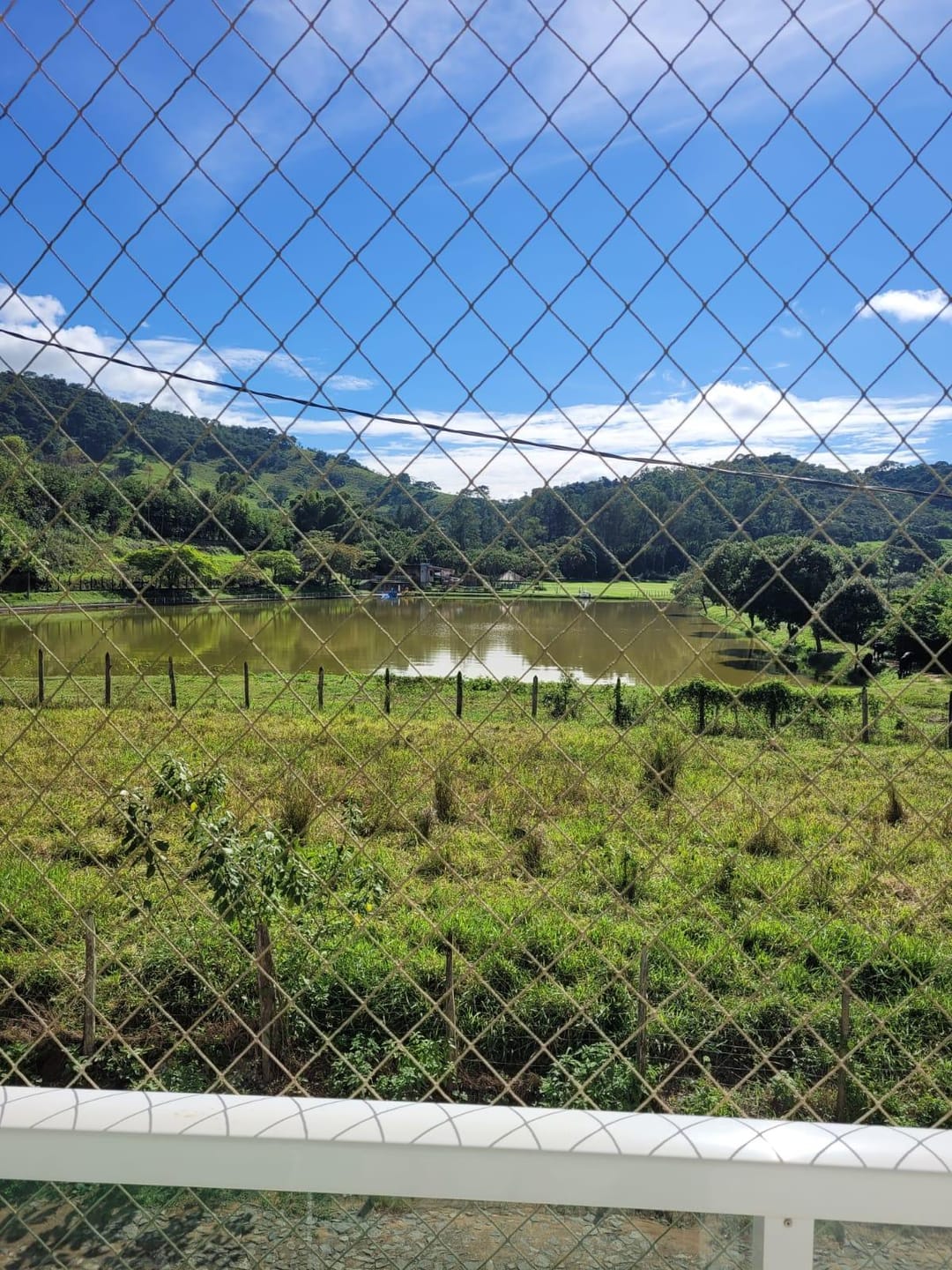 Prédio à venda, ROSARIO, Rio Pomba, MG - foto 32