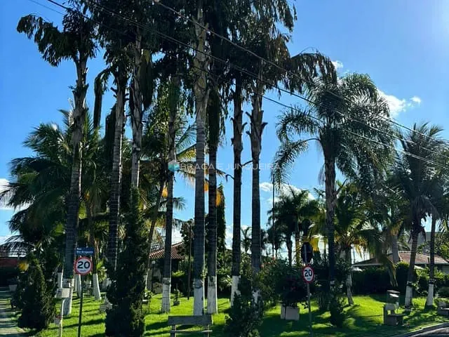 Casa com 190m² 3 quartos e 2 banheiros, à venda, no bairro Jardim Conceição em São José do Rio Preto