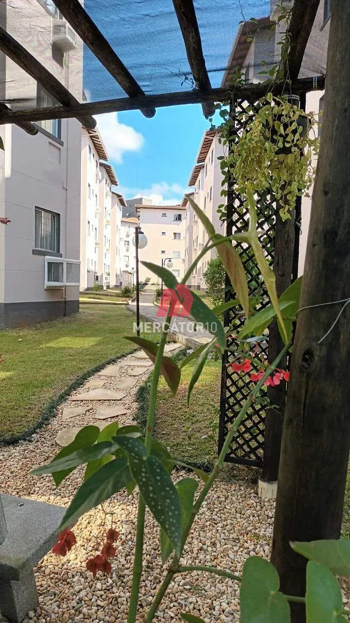 Apartamento para locação, Água Verde, Blumenau, SC — foto 5