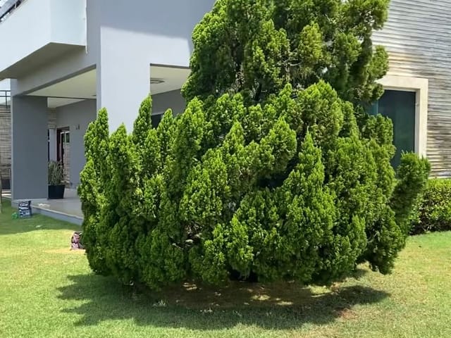 Casa com 300m² 3 quartos e 2 banheiros, à venda, no bairro Intermares em Cabedelo