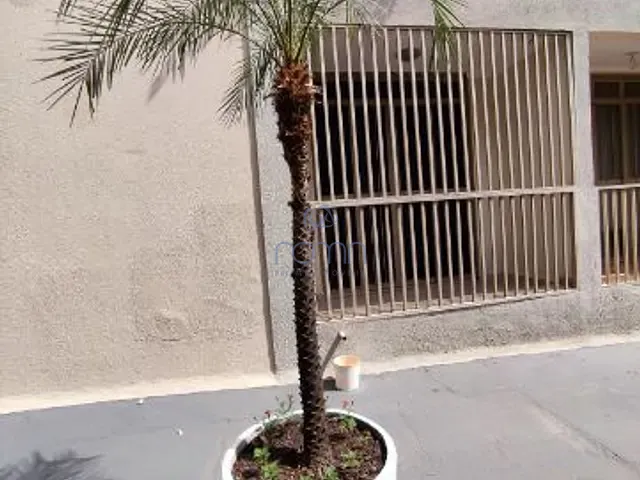 Apartamento 2 quartos e 2 banheiros, para alugar, no bairro Jardim Panorama em São José do Rio Preto