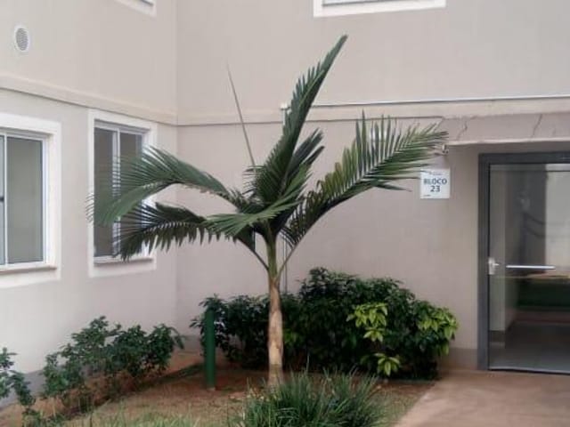 Foto do Apartamento - Apartamento para locação, Pioneiros, Campo Grande, MS | Romeu Imóveis