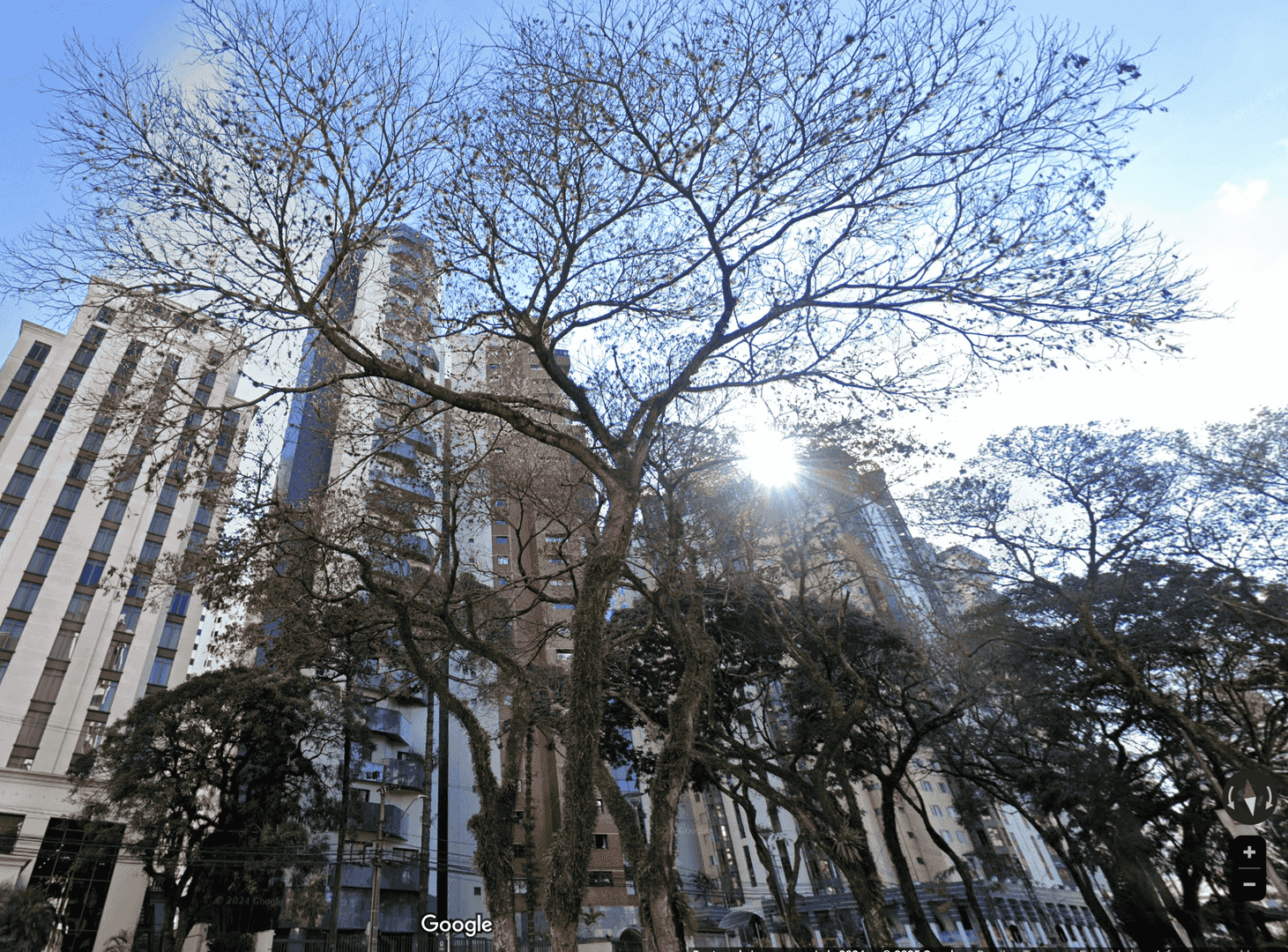 Apartamento, 4 quartos, 663 m² - Foto 2