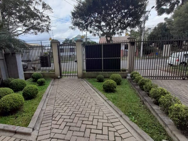 Apartamento com 65m² 3 quartos e 1 banheiro, para alugar, no bairro Carioca em São José dos Pinhais