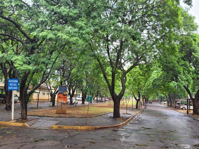 Apartamento 2 quartos e 1 banheiro, à venda, no bairro Vila Adelina em Campo Grande