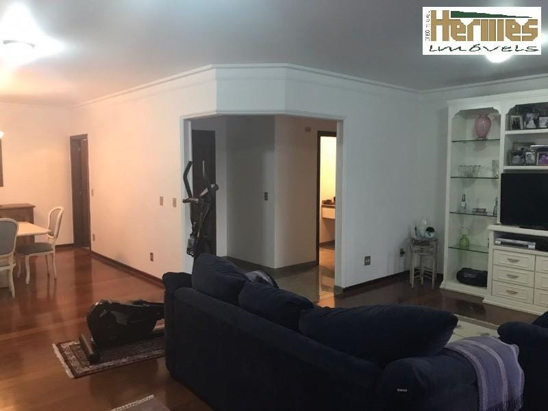 Apartamento, 3 quartos, 254 m² - Foto 2