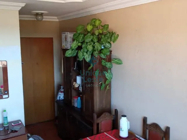 Apartamento com 52m² 3 quartos e 1 banheiro, à venda, no bairro Granja de Freitas em Belo Horizonte