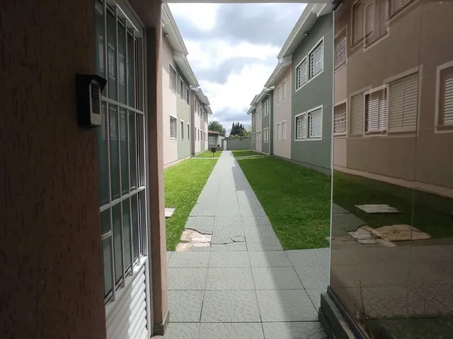 Apartamento com 70m² 3 quartos e 1 banheiro, para alugar, no bairro Cidade Jardim em São José dos Pinhais