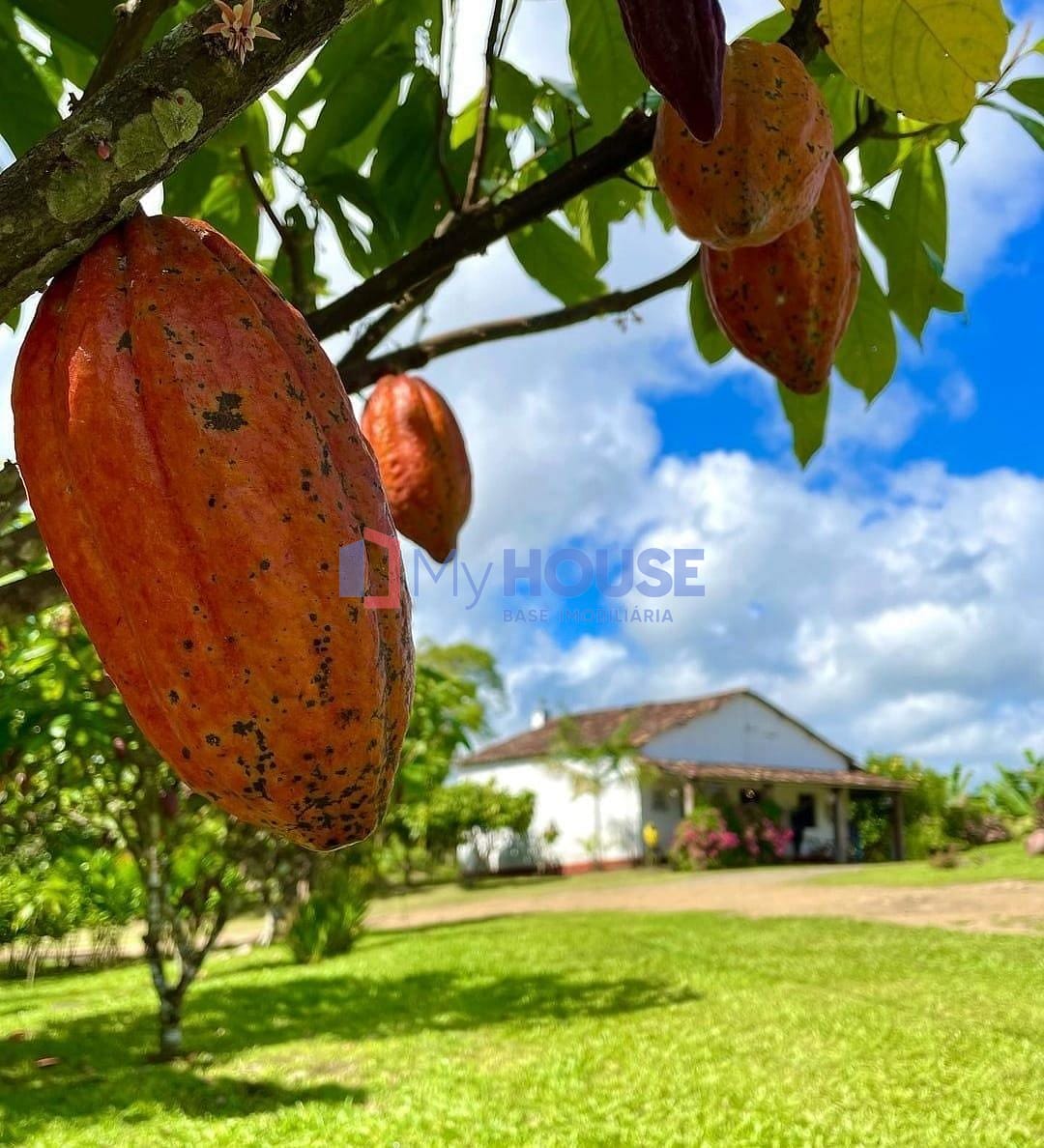 Apartamento, 3 quartos, 120 m² - Foto 35