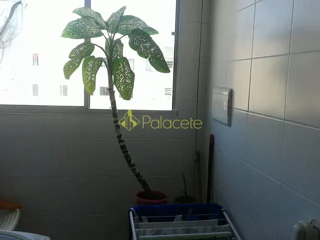 Apartamento 2 quartos e 1 banheiro, à venda, no bairro Vila Mariana em Aparecida