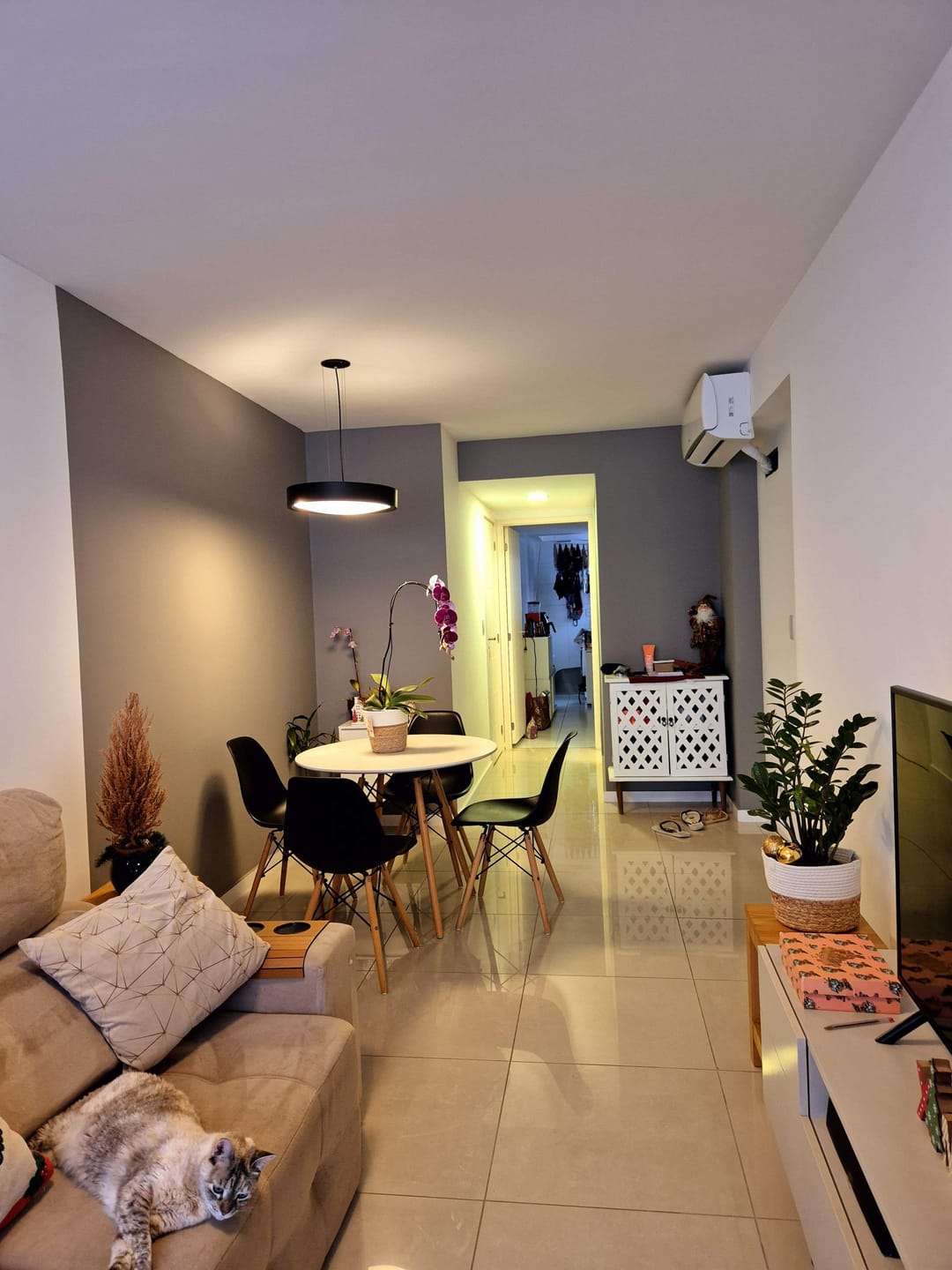 Decorado do undefined - undefined | undefined