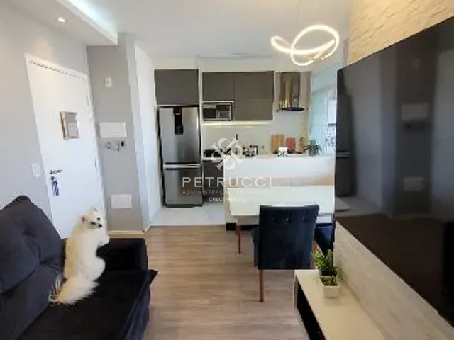 Apartamento 2 quartos e 1 banheiro, para alugar, no bairro Santa Maria em Santo André