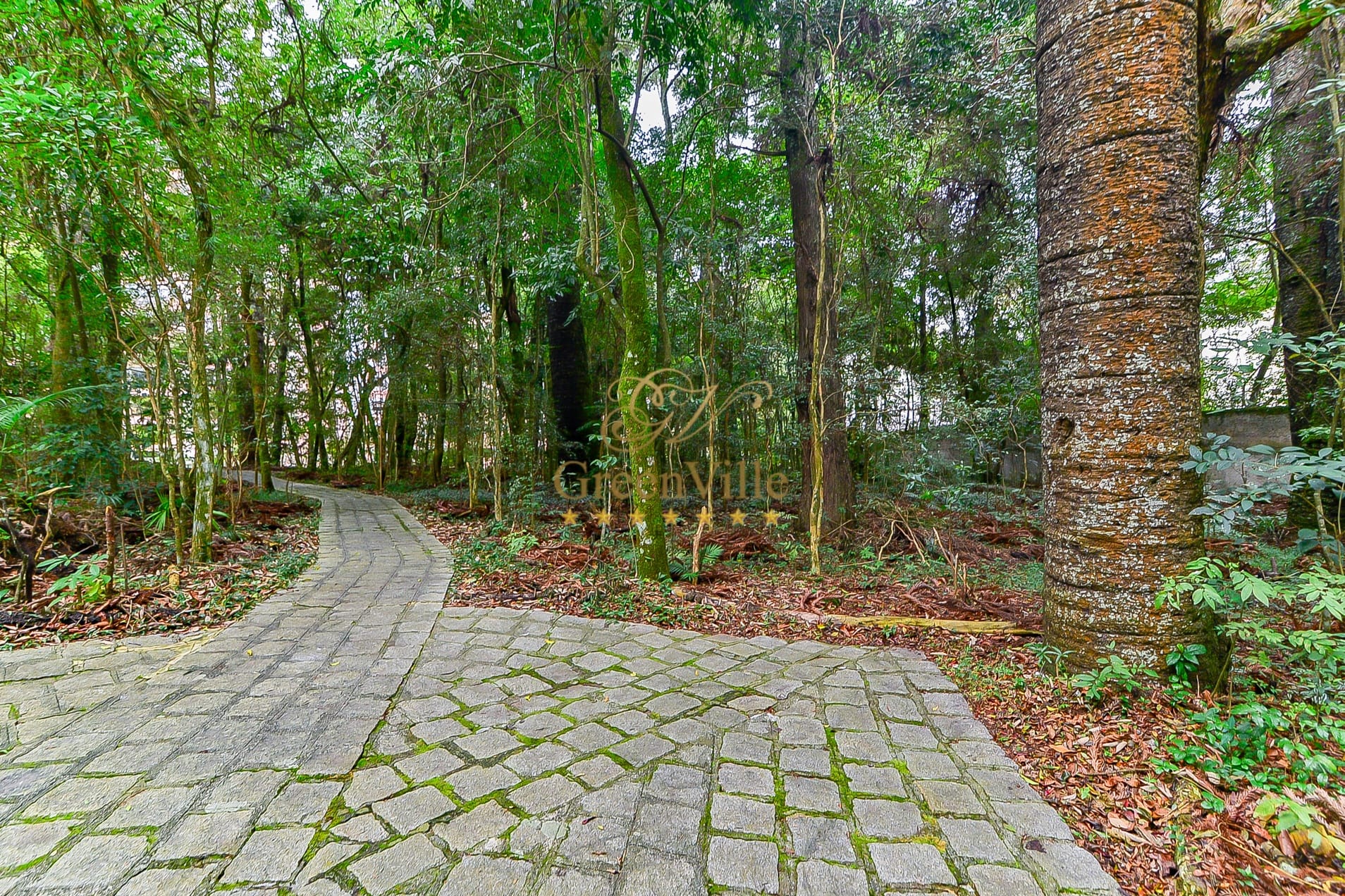 Apartamento, 4 quartos, 213 m² - Foto 30