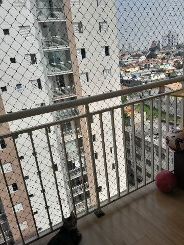 Foto do Apartamento - Apartamento com terraço à Venda, Cidade Ademar, São Paulo, SP | Abba Negócios Imobiliários