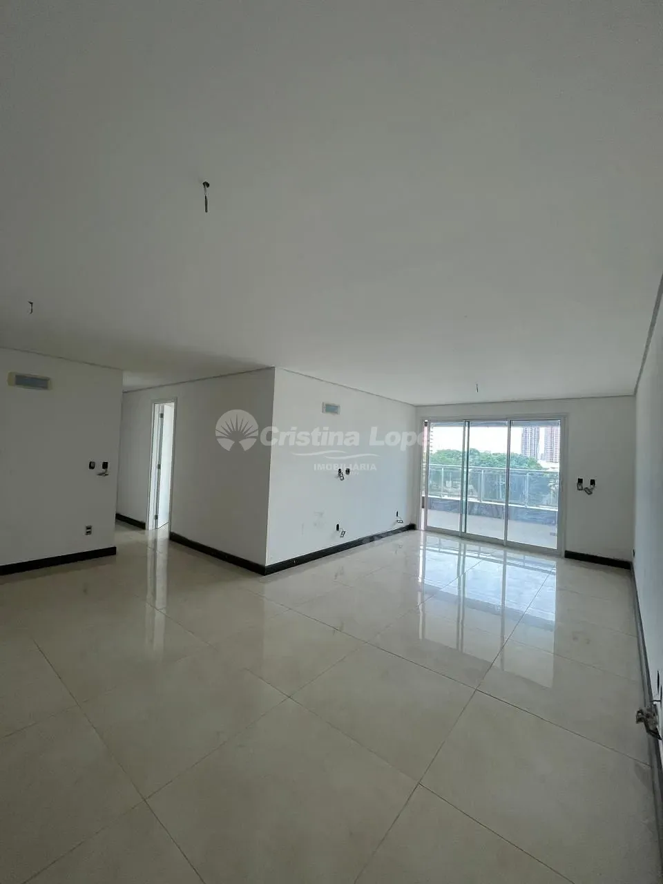 Apartamento, 4 quartos, 179 m² - Foto 4