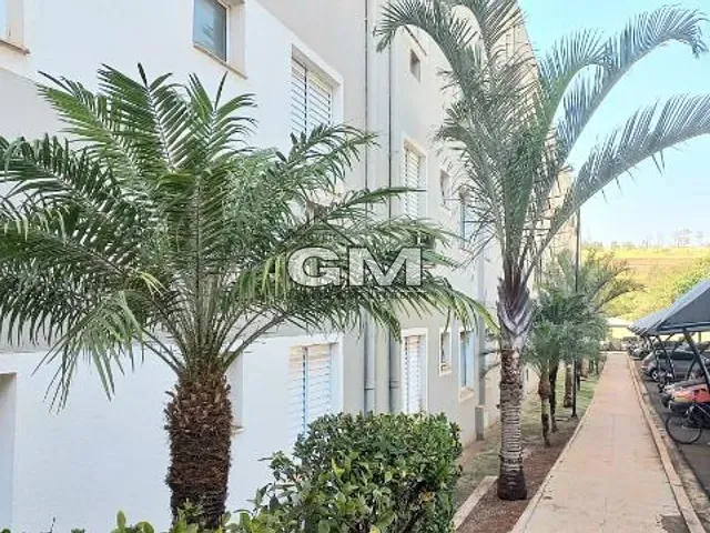 Apartamento 2 quartos e 1 banheiro, à venda ou para alugar, no bairro Jardim Itaú em Ribeirão Preto