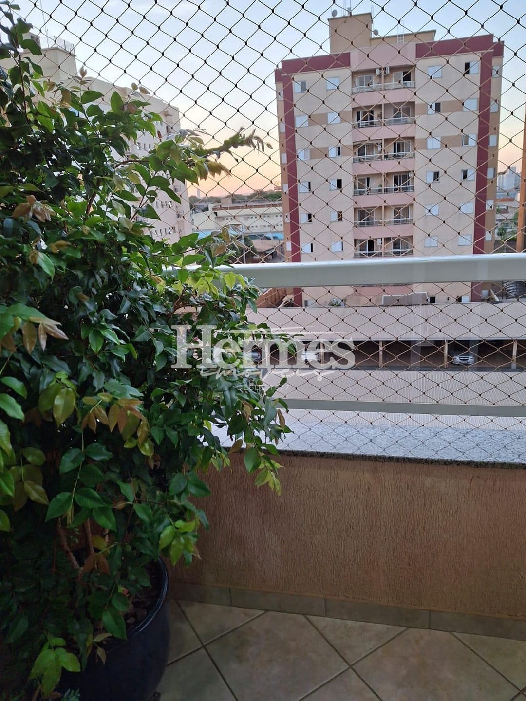 Apartamento, 3 quartos, 81 m² - Foto 2