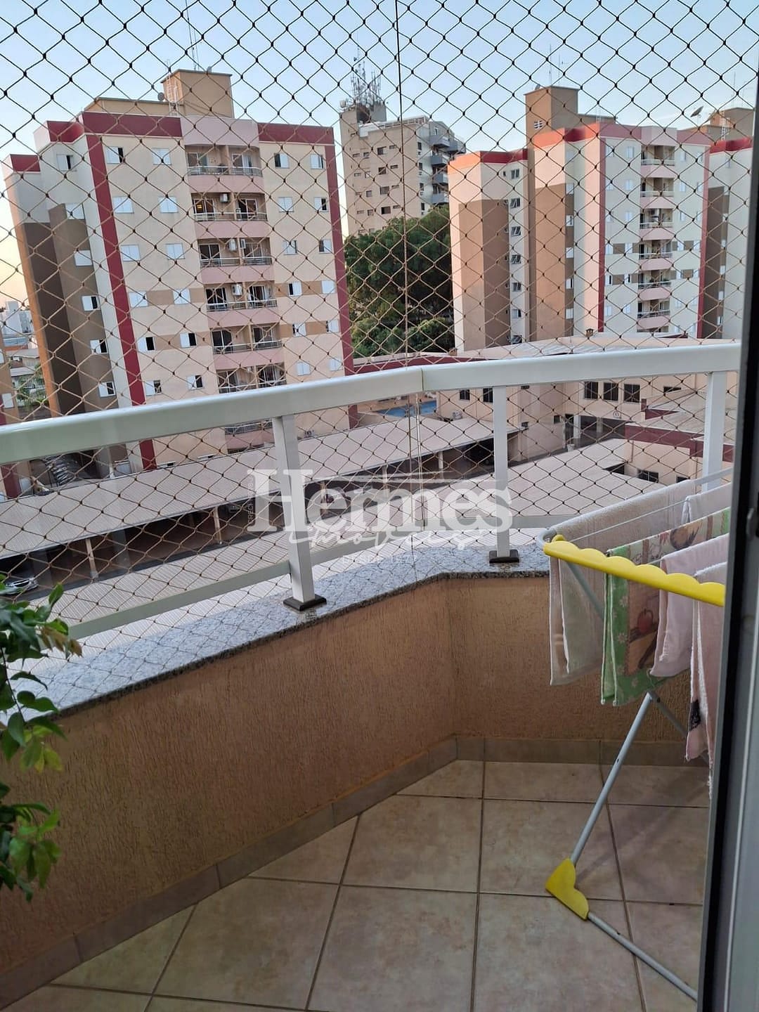 Apartamento, 3 quartos, 81 m² - Foto 3