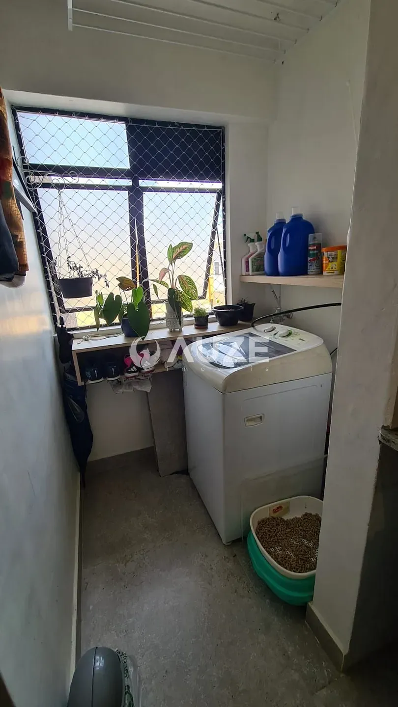 Apartamento, 3 quartos, 65 m² - Foto 11