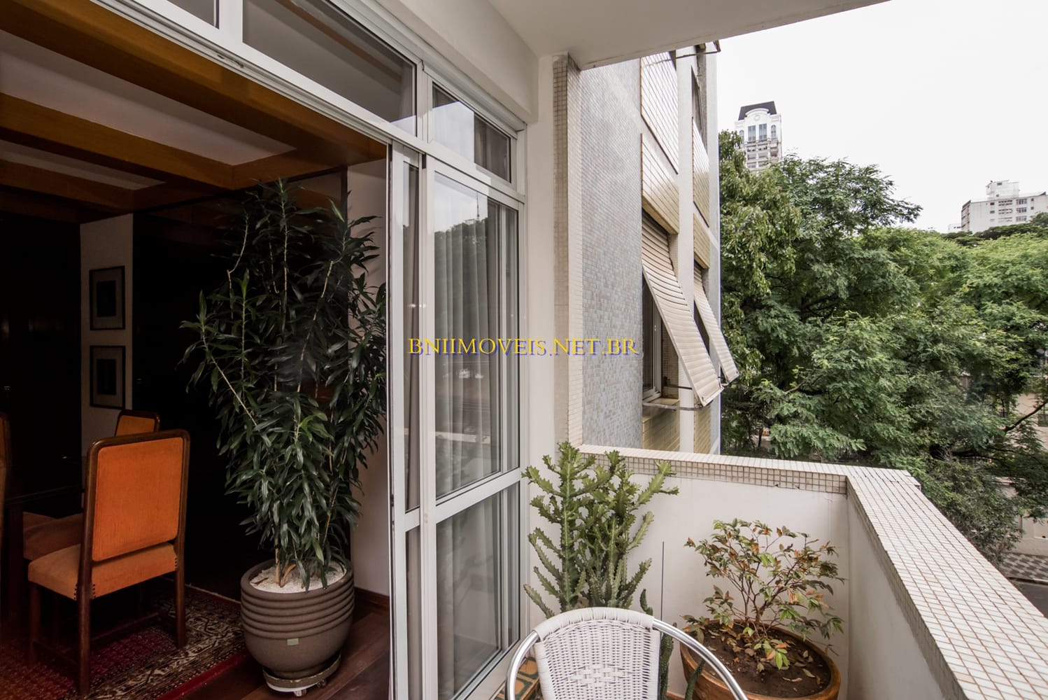 Apartamento, 3 quartos, 215 m² - Foto 1