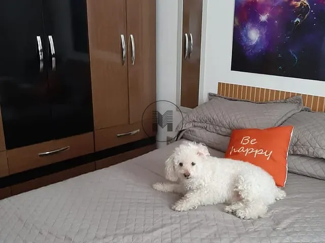 Apartamento 2 quartos e 2 banheiros, à venda, no bairro Pedregulho em Guaratinguetá