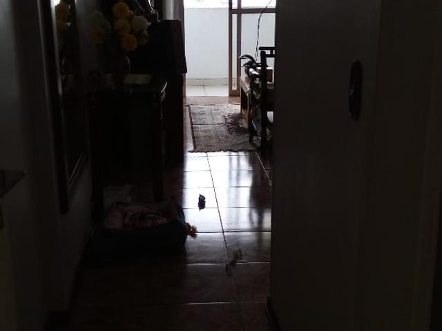 Foto do Apartamento - Apartamento com 4 dormitórios para alugar, 100 m² por R$ 2.500,00/mês - Floradas de São José - São José dos Campos/SP | INDEPENDENCE NEGOCIOS IMOBILIARIOS LTDA