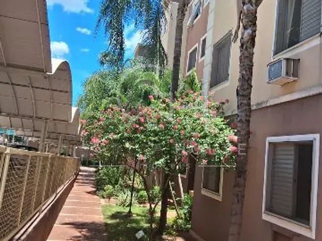 Apartamento 2 quartos e 1 banheiro, à venda, no bairro Ipiranga em Ribeirão Preto