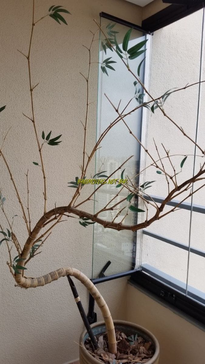 Apartamento, 3 quartos, 93 m² - Foto 6