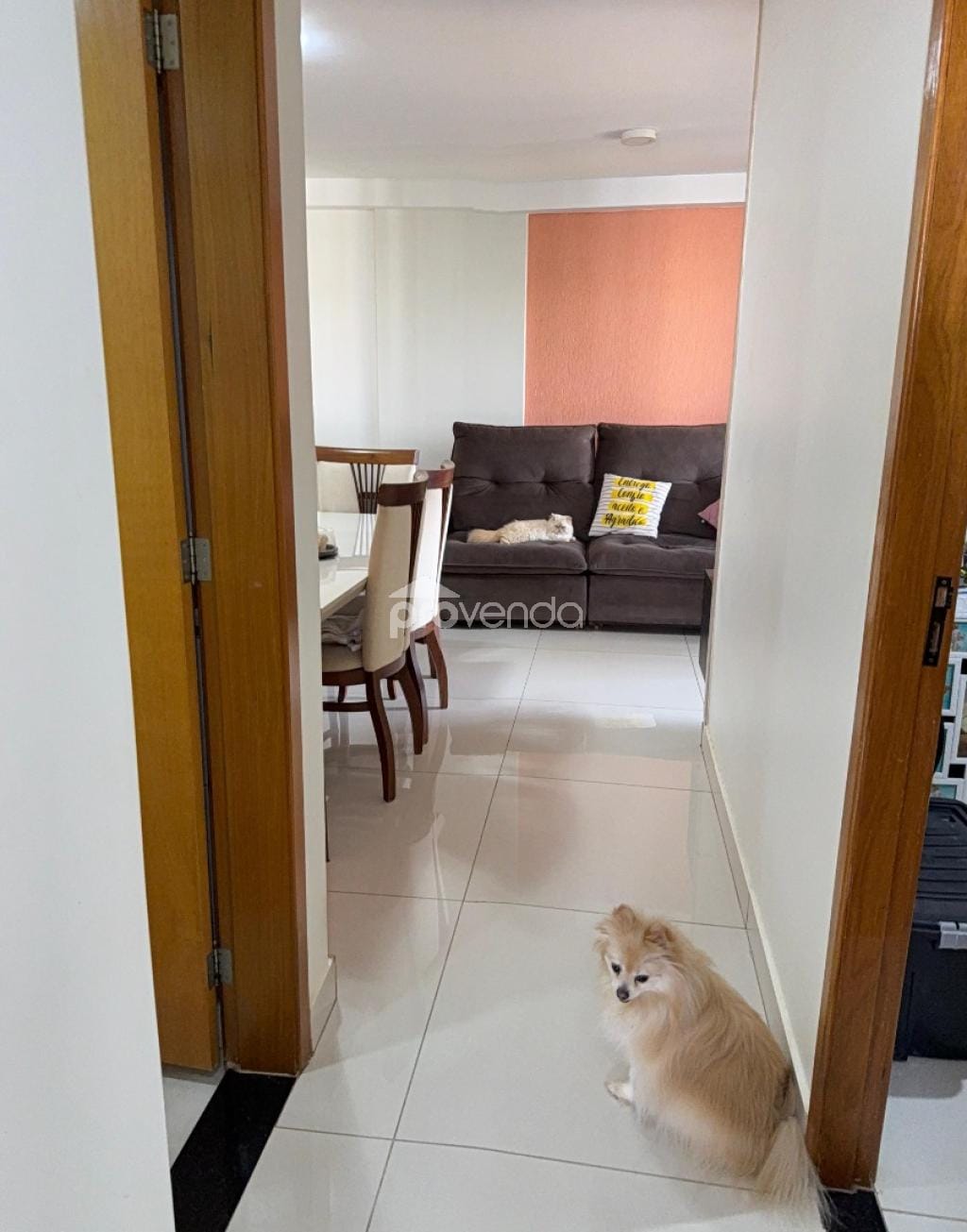 Apartamento, 3 quartos, 81 m² - Foto 8