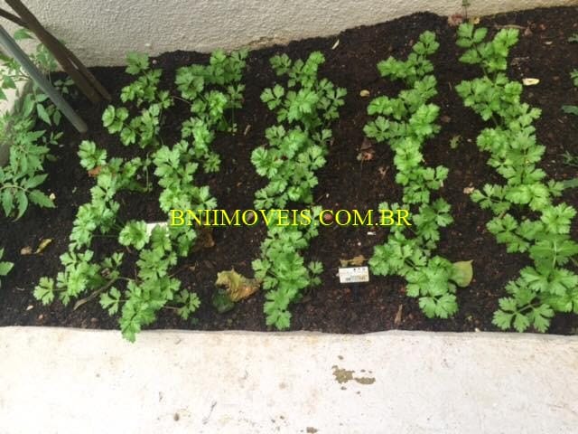 Apartamento, 3 quartos, 100 m² - Foto 27
