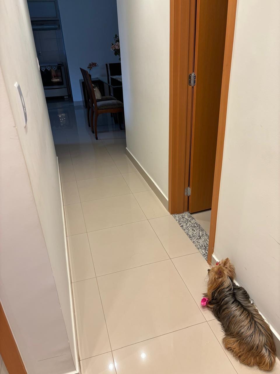 Apartamento à venda com 3 quartos, 116m² - Foto 6