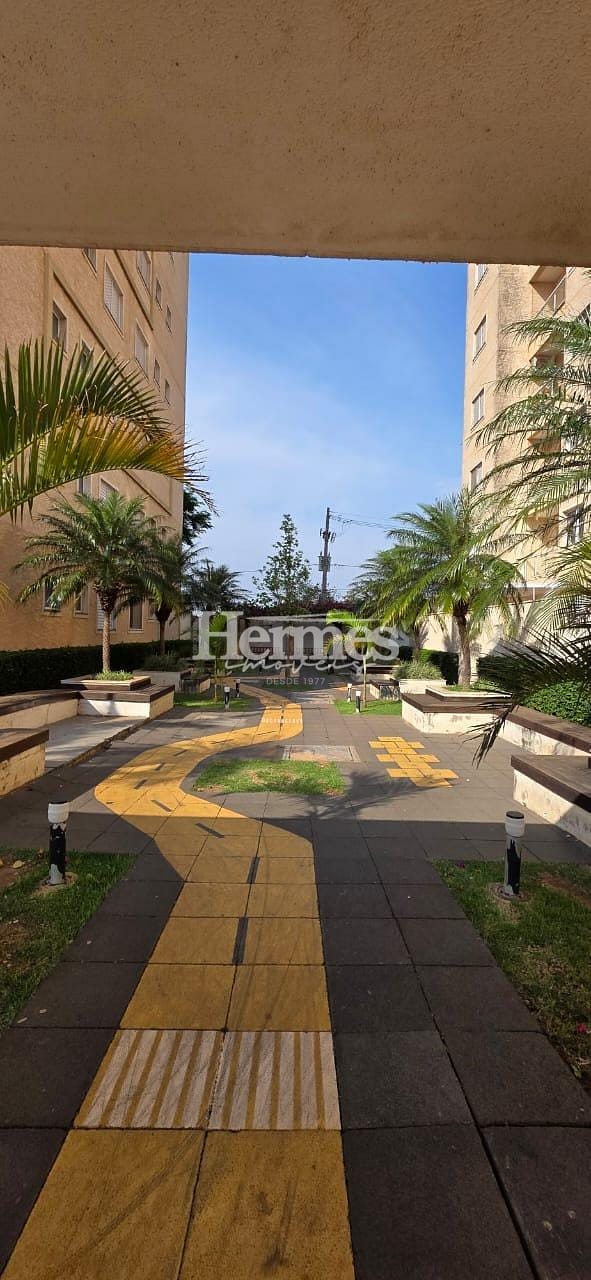 Apartamento, 2 quartos, 61 m² - Foto 23