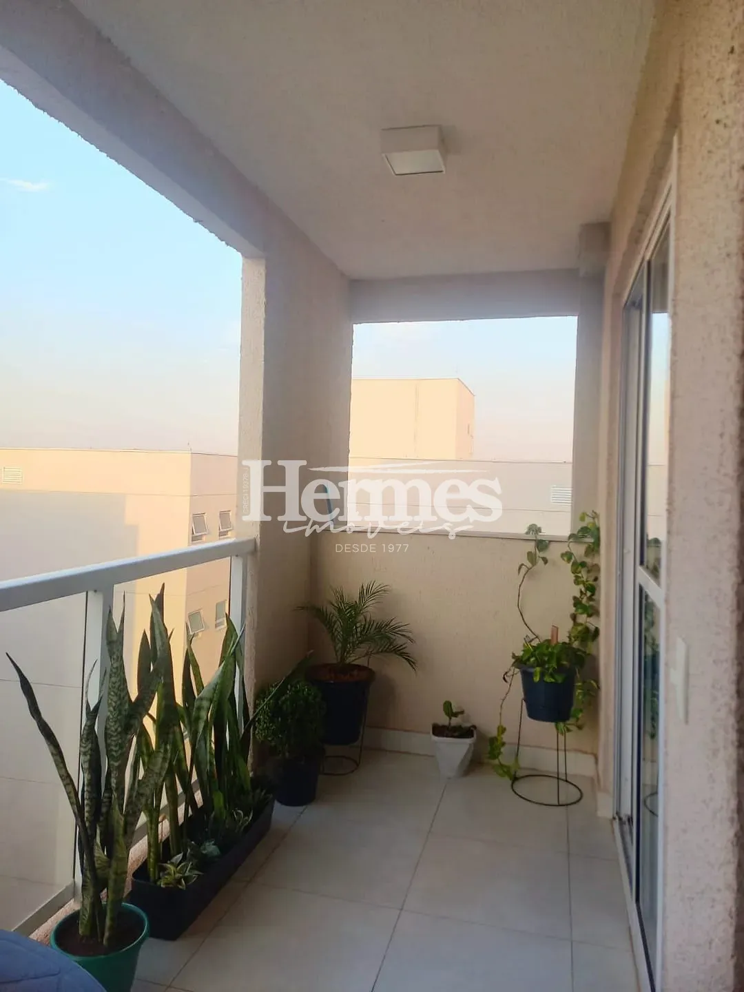 Apartamento, 3 quartos, 80 m² - Foto 23