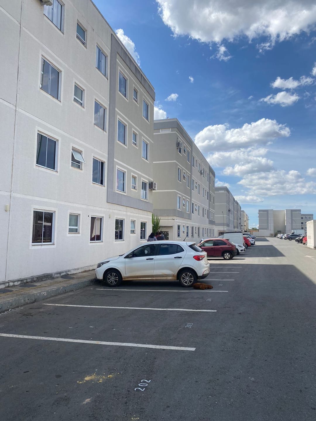 Apartamento à venda com 2 quartos, 39m² - Foto 10