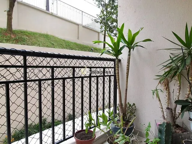 Apartamento 3 quartos e 2 banheiros, à venda, no bairro Vila Primavera em São Paulo