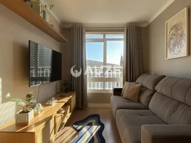 Apartamento com 47m² 2 quartos e 1 banheiro, à venda, no bairro Jardim Amélia em Pinhais