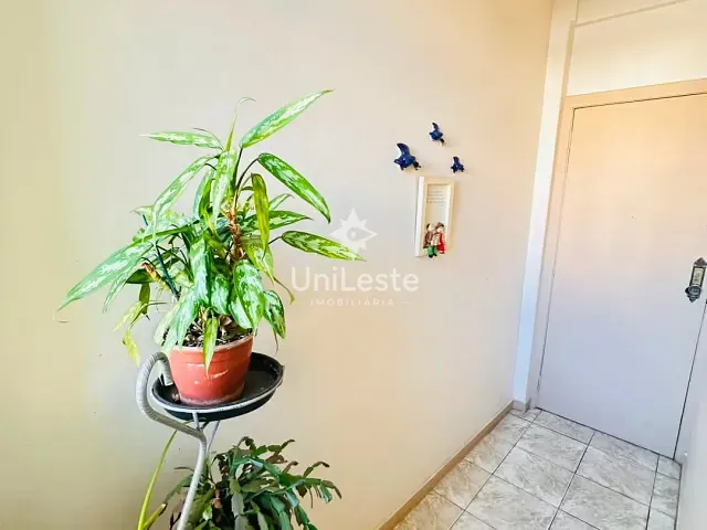 Apartamento 2 quartos e 2 banheiros, à venda, no bairro Centro em Belo Horizonte