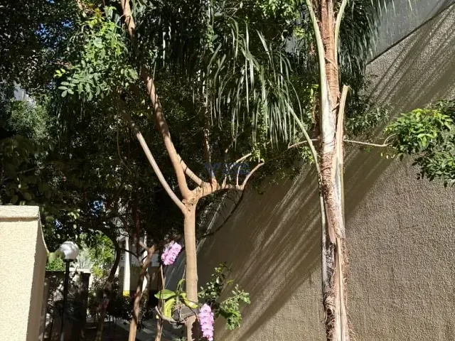 Apartamento 2 quartos e 1 banheiro, à venda, no bairro Jardim Sul em São José dos Campos