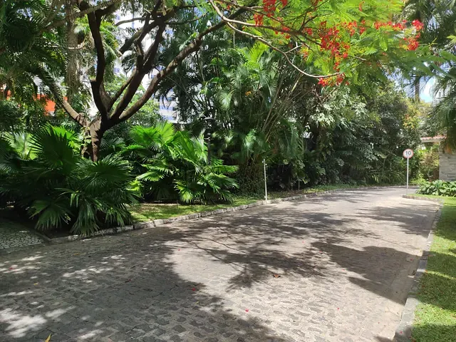 Apartamento 3 quartos e 3 banheiros, à venda, no bairro Casa Forte em Recife