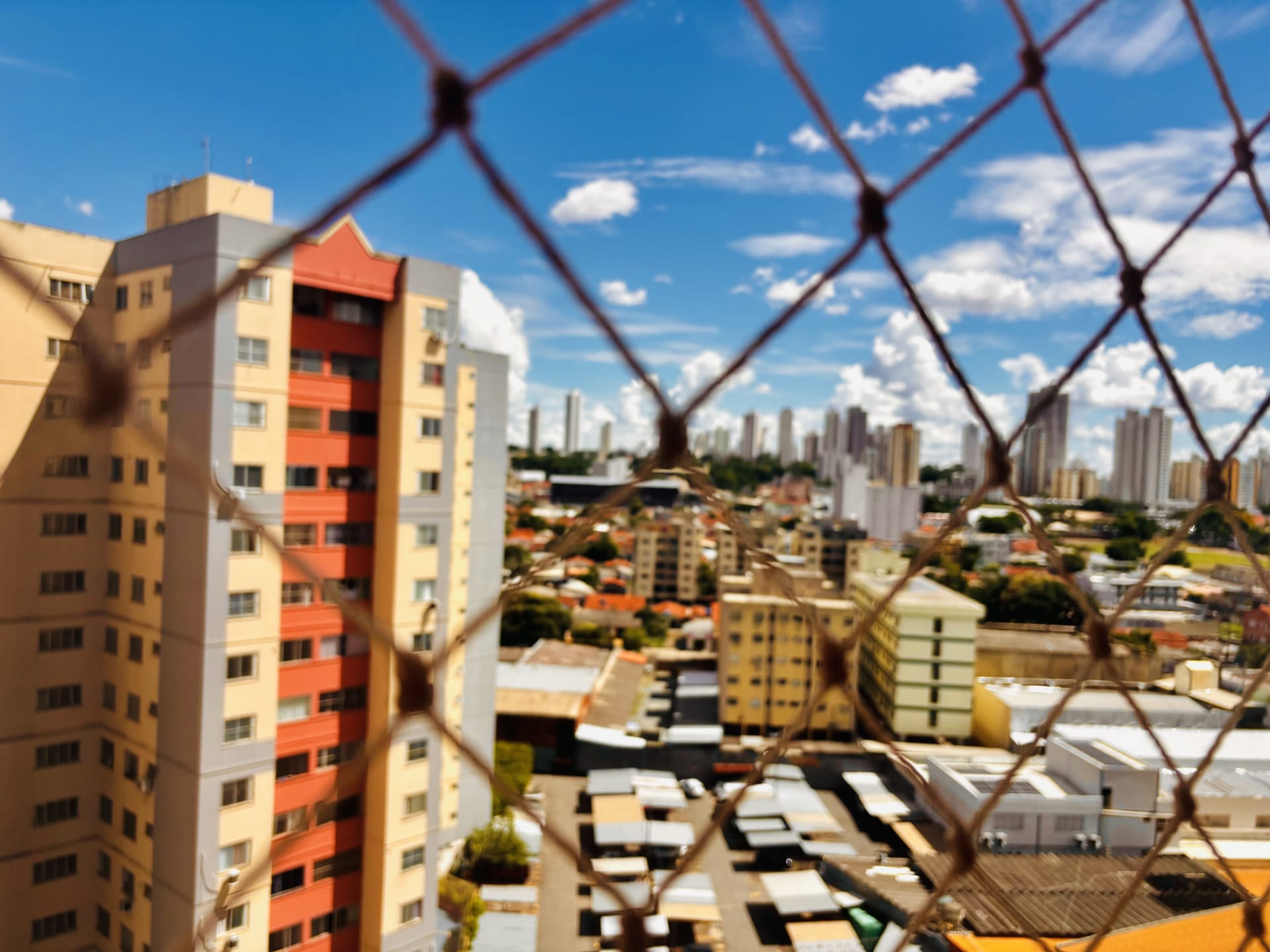Apartamento, 3 quartos, 76 m² - Foto 6