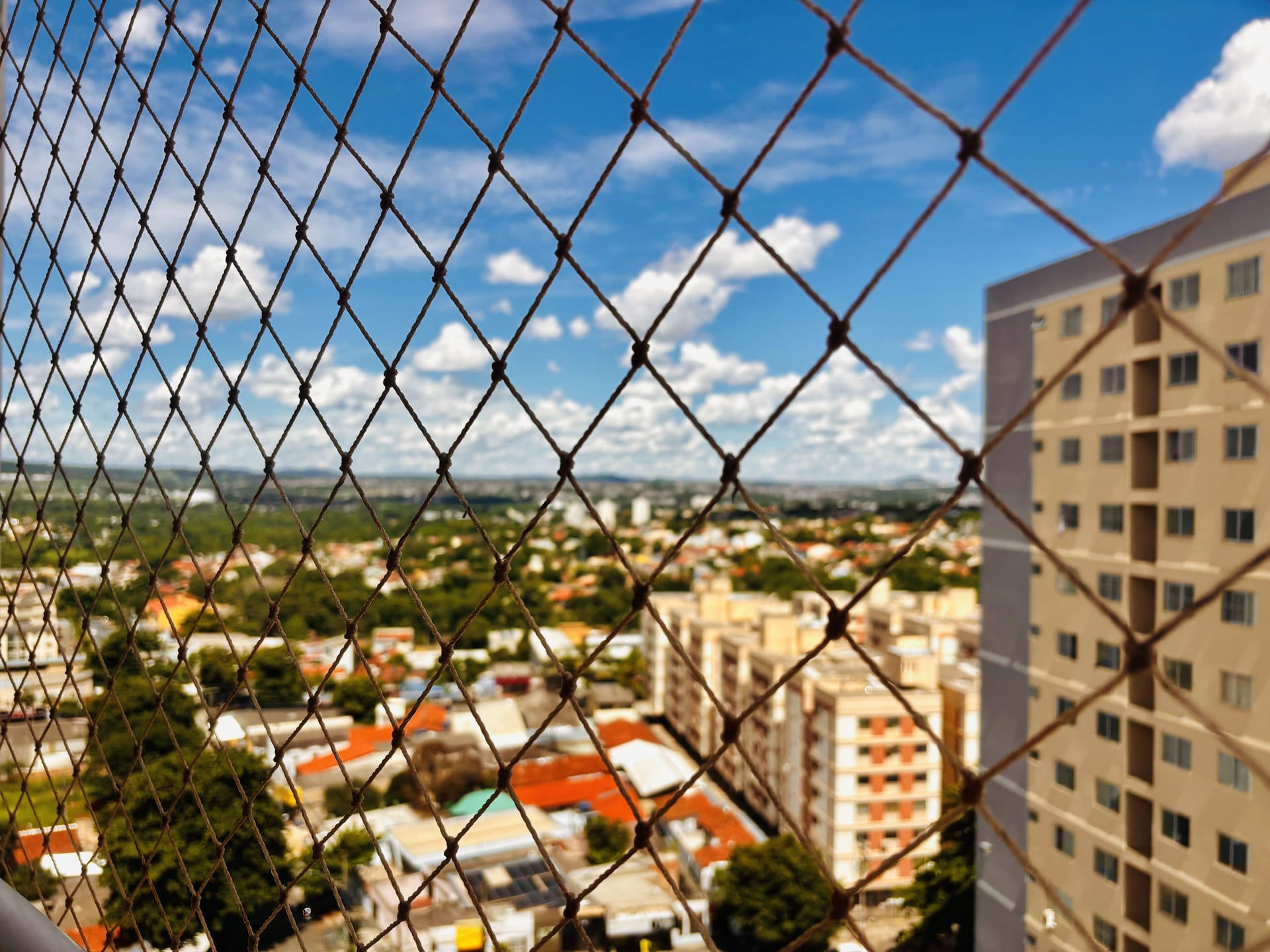 Apartamento, 3 quartos, 76 m² - Foto 19