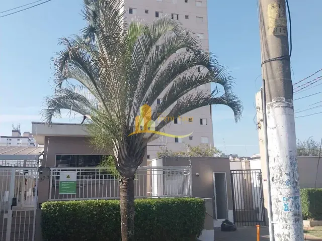 Apartamento 2 quartos e 1 banheiro, para alugar, no bairro Vila Carmosina em São Paulo