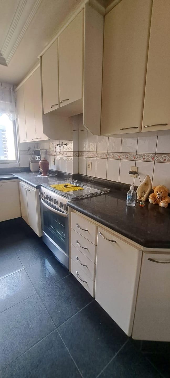 Apartamento, 3 quartos, 236 m² - Foto 10