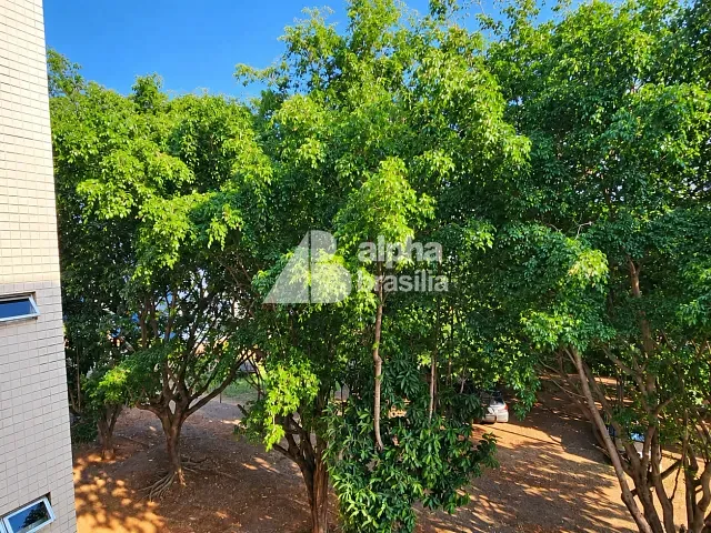 Apartamento com 63m² 2 quartos e 1 banheiro, para alugar, no bairro Setor Sudoeste em Brasília