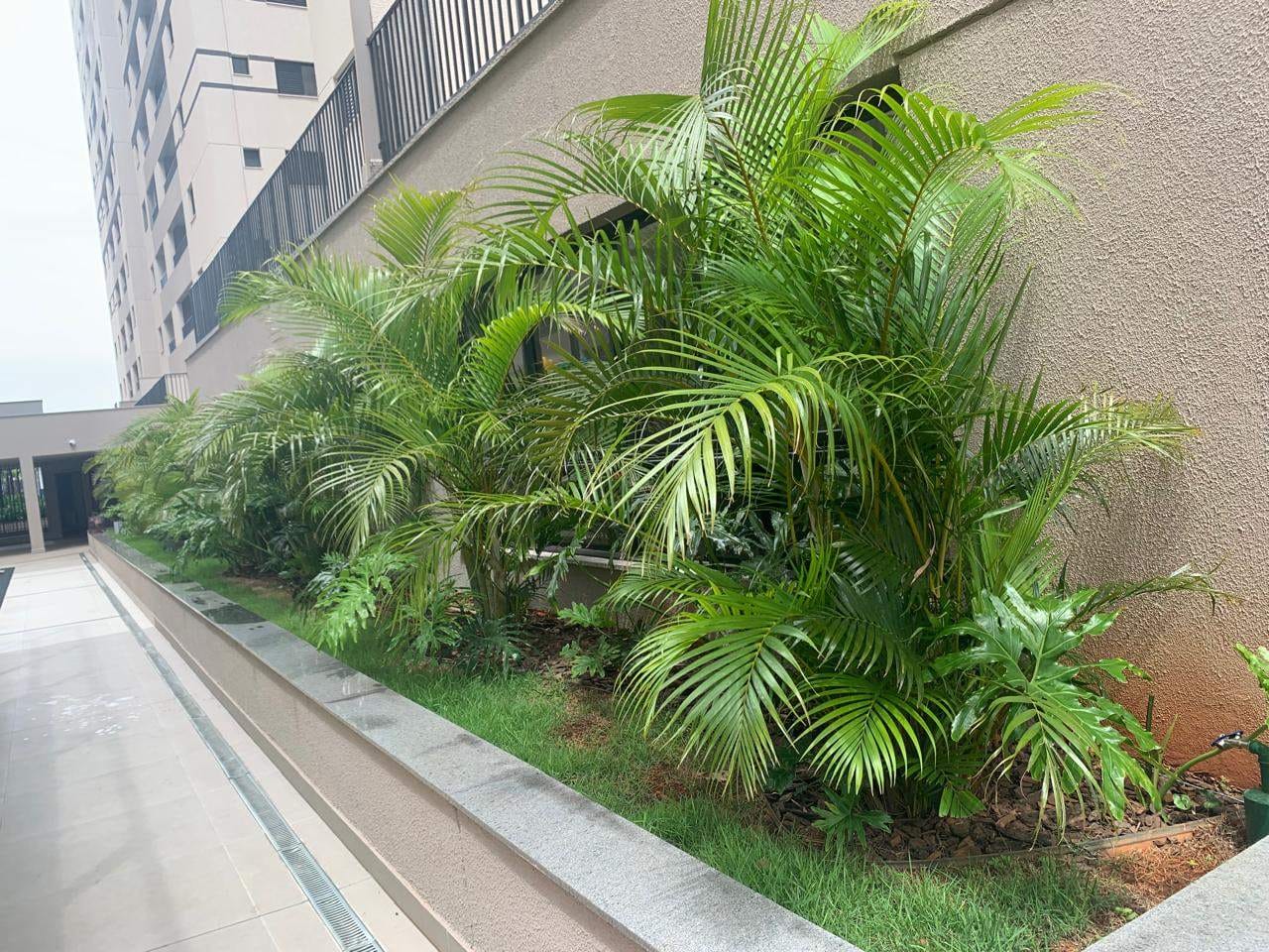 Apartamento, 3 quartos, 78 m² - Foto 4