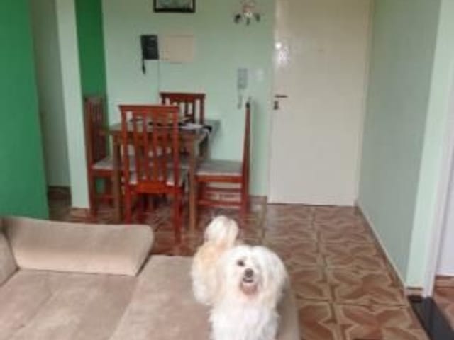 Foto do Apartamento - Apartamento à venda 2 Quartos, 1 Vaga, 52M², Conceição, Osasco - SP | Maria Tereza | BUSSOCABA ADMINISTRACAO DE BENS E IMOVEIS LTDA