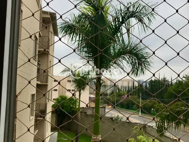 Apartamento 2 quartos e 1 banheiro, à venda, no bairro Jardim das Bandeiras em Campinas