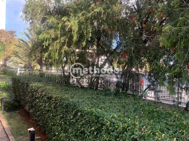 Apartamento com 85m² 3 quartos e 2 banheiros, para alugar, no bairro Parque Prado em Campinas