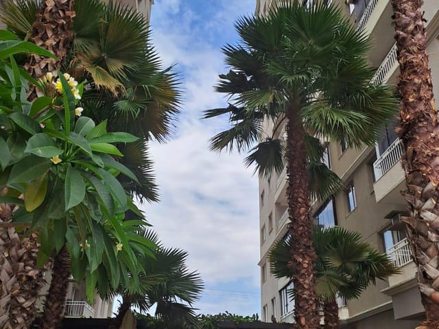 Foto do Apartamento - Apartamento à venda, Vila Rosa, Goiânia, GO | Marco Imobiliária